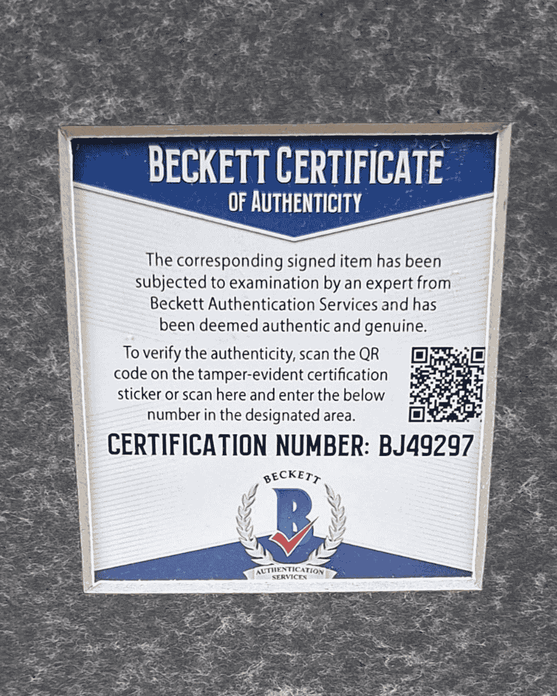 Bergkamp-Arsenal-thuisshirt-ingelijst-COA