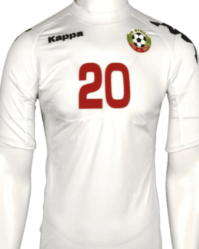 Bulgarije (wedstrijd gedragen) Thuisshirt Aleksandar Tonev maat - M maar valt als S